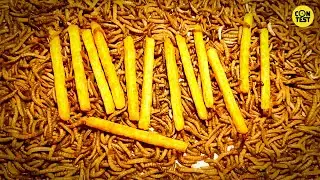 potato vs mealworms /Why do 10000 mealworms die after eating potatoes?/mealworm time lapse