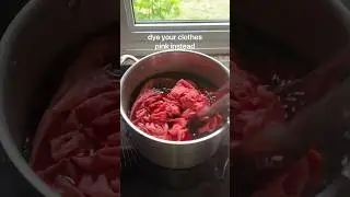 Avocado Dye 🥑 #shorts #recipe