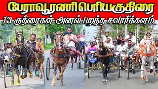 பேராவூரணி பெரியகுதிரை 27.01.2026 #ksk_rekla_race