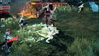 Mabinogi Heroes/Vindictus Episode 7 First Boss by Nishino-VHQ