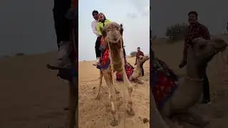 #camelride #dessert #samdunes #jaisalmer #rajasthan #youtubeshorts #ytshort