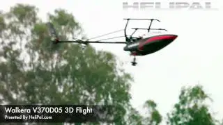 Helipal.com - Walkera V370D05 Helicopter 3D Flight