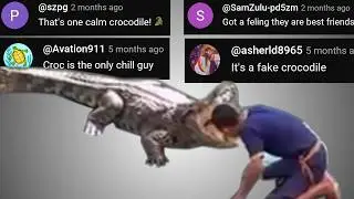 CALM CROCODILE - Chat Music