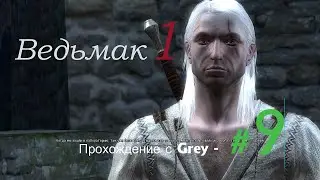 Ведьмак 1  Прохождение с Grey   # 9