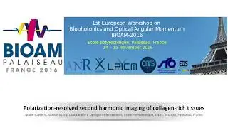 BIOAM 2016 18 Polarization resolved second harmonic imaging of collagen rich tissues