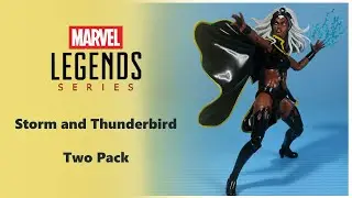 Marvel Legends Storm and Thunderbird Two Pack