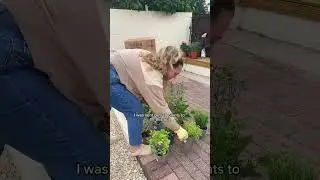 Garden on a roll English cottage boarder unboxing & demo in my garden 🪴🌺