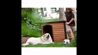 Extreme Log Cabin Dog House By Percision Pet
