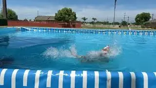 2024 Dublin learning to dock dive