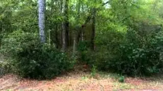 $50,000 in HUBERT 28539.  Call  Mary S Rawls: (910) 389-2324