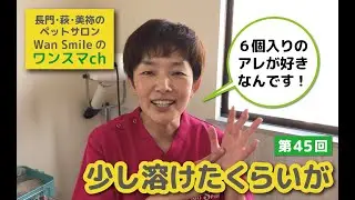 ワンスマチャンネル第45回『少し溶けたくらいが』　ハッピーライフサポート＆ペットサロンワンスマイル　長門市萩市美祢市
