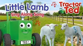 Песенка про маленького ягненка 🐑🌼 Песни про ферму Трактора Теда для детей