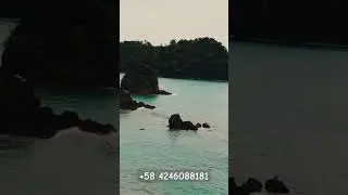 &iquest;Sab&iacute;as que? Playa Jaco - Costa Rica
