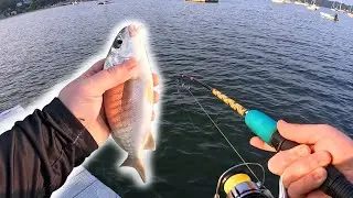 Fishing for JUMBO SPOT FISH | Trying my NEW KalKal Deck Boots!