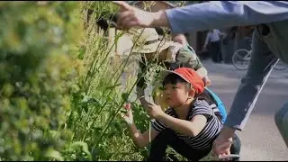 UNESCO | Aprendendo sobre sustentabilidade com o interior do Jap&atilde;o
