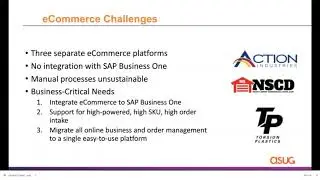 BizOne 2020 Torsion Group SAP Business One ecommerce case study