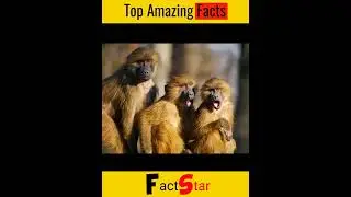 Do you Know ? Every second how people die ? #facts #shorts #factstar #youtuber