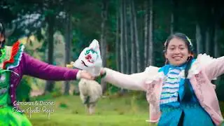 DHARMA PERÚ / ROSA, ROSA / VIDEO OFICIAL 2019