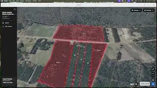 Rural Homesites Near Nichols & Green Sea | Flat Terrain • Partially Wooded • Only 3 Homesites Remain