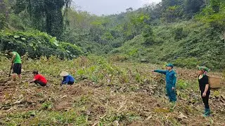 The woman helped the police harvest cassava and take care of the goats.