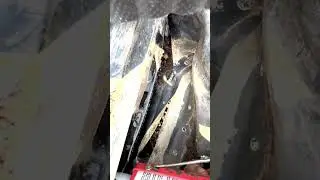 Fixing a LEAKY POND! Part 2 #shorts