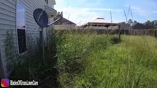 Tall Overgrown backyard walkthrough | Would you cut this tall grass?