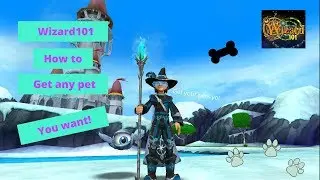 Wizard101 How to get any pet you want!