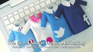 Search Engine Optimization Company