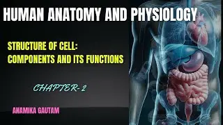 HUMAN ANATOMY AND PHYSIOLOGY Chapter-2 | Structure of Cell | University + Competitive Exam&rdquo;