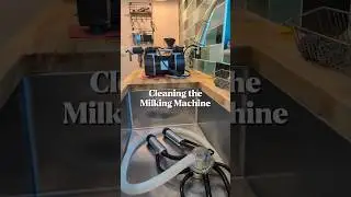 How do we clean the milking machine for our dairy cow? 🐮🥛