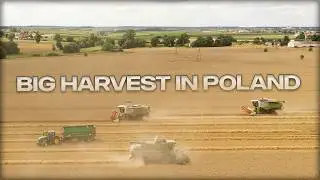 🇵🇱 BIG HARVEST IN POLAND! Top Farms Wielkopolska 🇵🇱