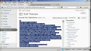 How Do I Edit CSS Styles In A Wordpress Theme?