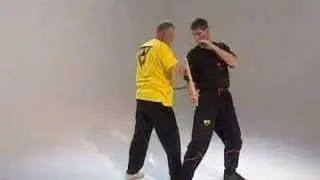 Short baton/stick combat skill 2