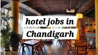 Hotel jobs in Chandigarh | F&B  manager | continental chef | Sous chef | steward jobs | 