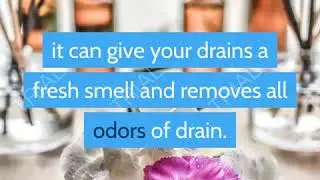 10 best enzyme drain cleaners of 2020