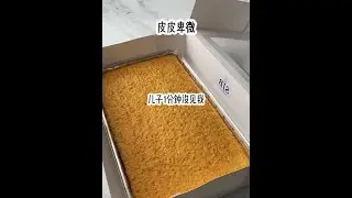 皮皮卑微  下载悟🈳浏览器，搜索标题，可以勉费看全文 #悟空浏览器  #小说  #小说推荐  #文荒推荐