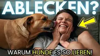 Warum unsere Hunde uns WIRKLICH abschlecken