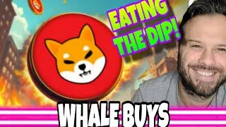 Shiba Inu Coin | Whales Eating Up This SHIB Dip! Exchange Outflows a Very Good Sign!
