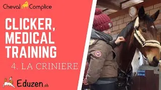 CLICKER CHEVAUX #4 - LA CRINIERE