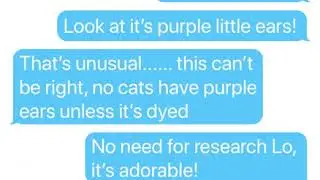 Virgil is a kitty?! /Sander sides