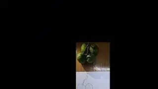 mango drawing || how to draw mango || drawing easy ||  shorts || easy mango drawing