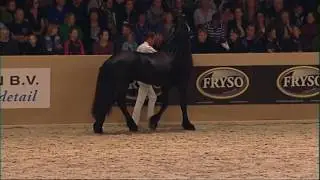 KFPS Hengstenkeuring 2016 Kampioenschap jonge hengsten