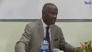 MAEILIA CONSULTING WEBCONFERENCE part 2