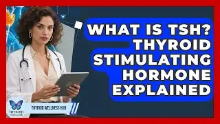 What Is TSH? Thyroid Stimulating Hormone Explained - Thyroid Wellness Hub