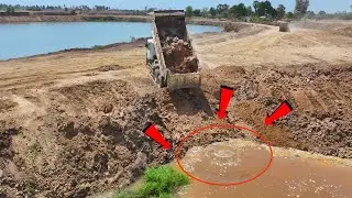 Incredible Road Resize! Mini Dozer D20P Shows Skill Pushing Soil in Big Pond