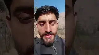 🌿 Border Picture Spray | खेतों में कीटनाशक छिड़काव का सही तरीका 🚜💦