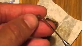 An IE420 Concentrate Image Synopsis: Super Jack Wax
