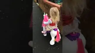 Unicorn ride