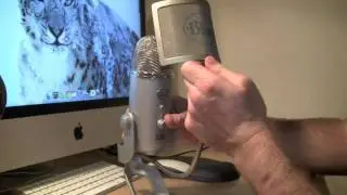 Blue Microphones 