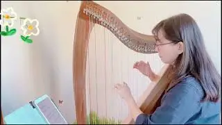 Perfect by Ed Sheeran (Harp cover)
